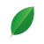mongo.png